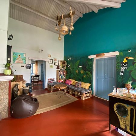 The Birdhouse Backpackers Hostel Coonoor Exteriér fotografie